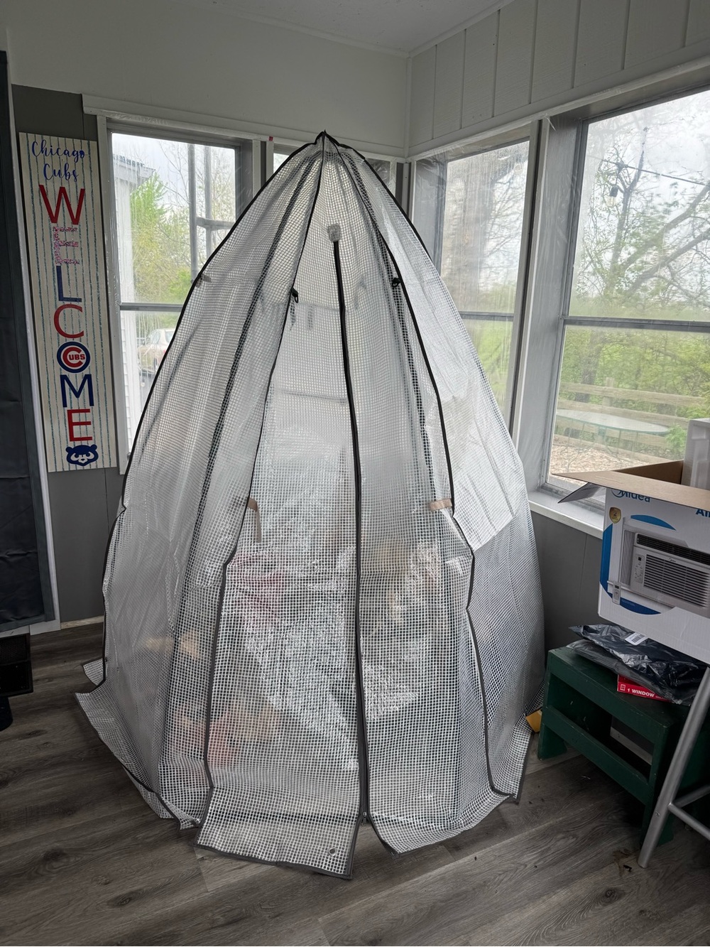 Greenhouse - Picture 6 of 8